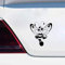 Stukk Stickers Niedlicher Schmetterling, Biene, Mädchen, Fee, Spaß, Fenster, Stoßstange, Vinyl, JDM-Aufkleber, 17,8 x 19,8 cm, Schwarz