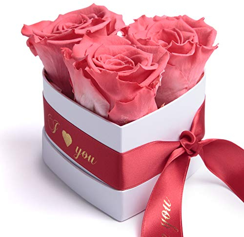 ROSEMARIE SCHULZ Heidelberg Infinity Rosenbox Herz - 10x12cm 3 ewige korall-rote Rosen haltbar 3 Jahre Valentinsday Gift Box for Women (I Love You, Korall)