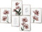 BLCKART Infinity Poster-Set Noble Tulips - beidseitig bedruckte Wandbilder - Premium Poster - Bilder zur Wanddekoration - Größe L 4x A3 und 2x A4