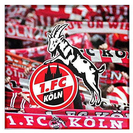 Cologne 1. FC Köln Austausch-Motiv „Schals
