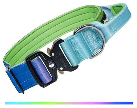 TSPRO Premium Hundehalsband mit Griff Verlauf Dickes Verstellbares Taktisches Hundehalsband Schwere Ausführung Schnellverschluss Metallschnalle für Mittelgroße bis Große Hunde (Regenbogen L)