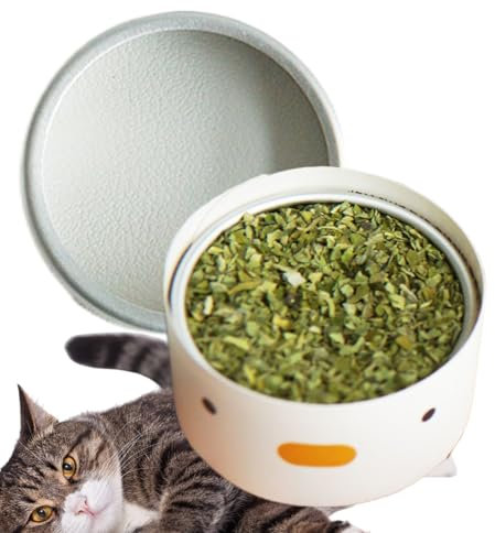 Cat Nip Powder - Mezcla de hierba gatera seca interactiva para gatos interiores | El entrenamiento natural de la hierba gatera trata el polvo para gatitos, enriquecimiento de gatos juguetones, sala de
