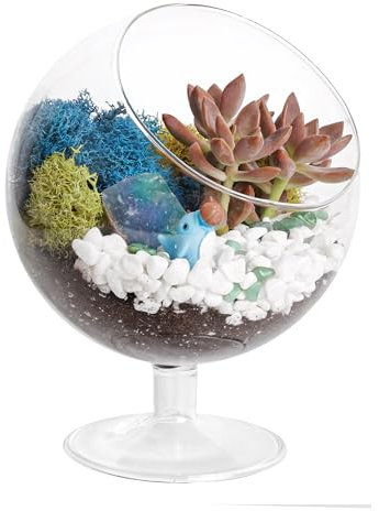 Creations by Nathalie - Kit de terrario para plantas, kit de iniciación de terrario de vidrio para adultos, soporte de metal, musgo de reno, cristal y rocas, herramientas, figura