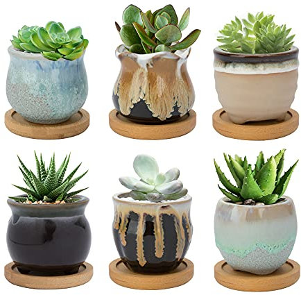 FORAGIFT 6.5CM Ceramic Succulent Plant Pot, Cactus Pots for Indoor Outdoor Plants, Small Flower Pot Flowing Glaze with Drainage and Bamboo Tray, Great for Home Decor, Set of 6 (Plants Not Included)