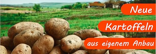 Banner 200 x 70 cm Neue Kartoffeln orange