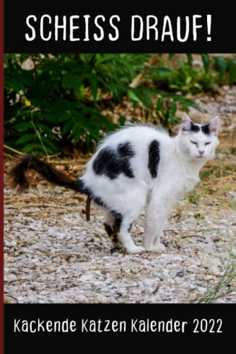 Kackende Katzen Kalender 2022: Das lustige Geschenk für Männer, Frauen, Freunde und Katzenliebhaber zum Geburtstag oder Weihnachten