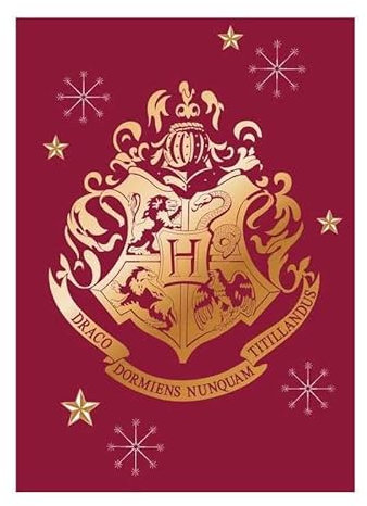 arlis Fleecedecke, Harry Potter, 100 x 140 cm (Fleecedecke, Harry Potter)