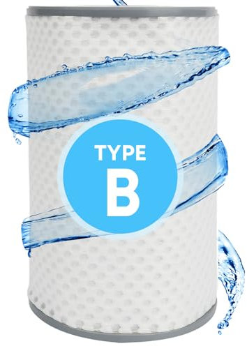 Caumous Filtre de piscine de type B plus durable - Cartouche de filtre réutilisable pour piscine hors sol - Compatible avec la plupart des pompes de 2000/2500 GPH - Compatible avec les modèles 29005E