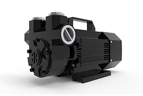 Pompes à Eau, pièces et Accessoires Pompe à Essence 600W 60L / Min 12V 24V, Pompe Diesel(Nero,12V)