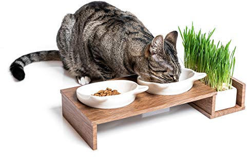 CanadianCat Company | Katzennapf erhöht, Futternapf Katze Cat Diner mit DREI Keramik Näpfen, Ø14,5 cm Fressnapf, Futterschale, Futterstation in Walnuss-Optik