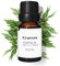 Cypress Essential Oil 10 Ml