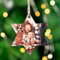 Wanapix | Weihnachtsschmuck aus Holz mit Photo und Texte | Originellste Weihnachtsdekoration | Christbaumkugel | Personalisierte Geschenke | Stern