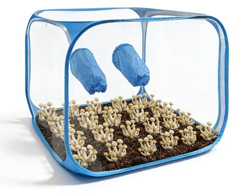 Tragbarer Pilzzuchtbehälter: 60 x 60 x 90 cm Klappbarer Pilzzucht-Stillluftbox mit Zwei Armöffnungen, Pop-up-Pilzzuchtzelt-Kit für Pilzee wie Enoki Pilze, Heilpilze, Pilze im Allgemeinen(Blau)