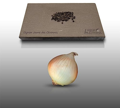 100 graines à semer - Le Grenier d'Abondance - OIGNON Jaune des Cévennes - Allium cepa