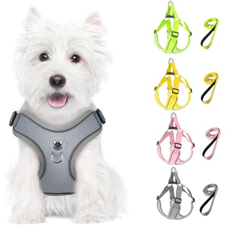 Feycig Hundegeschirr Kleine Hunde, Anti Zug Einstellbar Reflektierend Geschirr, Atmungsaktiv Weiches aus Mesh Geschirr Hund Leichtes Welpengeschirr Brustgeschirr mit Griff (Grau, Large)