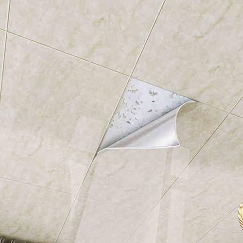 Paneles de Techo para Techo suspendido - 5, 10, 15 y 20 Piezas, Impermeables y fáciles de Instalar para decoración de Paredes Interiores - Autoadhesivos para Cubrir Grietas y manch