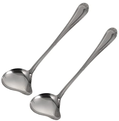 DOITOOL Noodle Strainer Saucier Drizzle Spoons Stainless Steel Mint Sauce Ladle Drawing Decorating Spoon Chef Culinary Spoons for Plates Cake Dessert Steak Plates Silver Stainless Steel Spoon