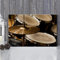 JIUJIUJIU Musikinstrument Poster Wandbild Kunstwerk Leinwand Malerei Drucke Vintage Drum Wall Art Bild für Home Schlafzimmer Dekoration, 60 * 90cm, Ungerahmt