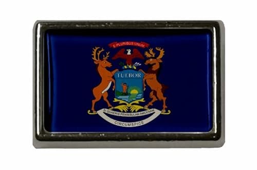 U24 Pin Michigan Flaggenpin Anstecker Anstecknadel Fahne Flagge
