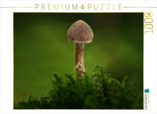CALVENDO Puzzle EIN Motiv aus dem Kalender Pilze, die stillen Waldbewohner 2019 | 1000 Teile Lege-Größe 64 x 48 cm Foto-Puzzle für glückliche Stunden