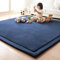 Loartee Teppich, Korallen-Samt, für Schlafzimmer, Wohnzimmer, Kinder, Arbeitszimmer, Küche, Kinderzimmer, Krabbeln, Wandern, Spiele, Yoga, Gymnastik, Nickerchen, Dunkelblau, 200 * 300cm