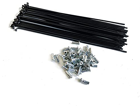 13G Fahrradspeiche Fahrradspeichen aus Kohlenstoffstahl 20 Stück J Bend Fahrradspeichen mit 12 mm Nippeln 100~292 mm Fahrradspeiche für Dreirad Fahrrad Ebike (131mm)