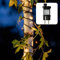 hellum LED Lichterkette Außen oder Innen, Lichterkette Lichtfarbe Mandarine mit Timer, strombetrieben mit 120 LED < 59 Lumen, Weihnachtsbaumbeleuchtung mit Kabel in Grün 150049