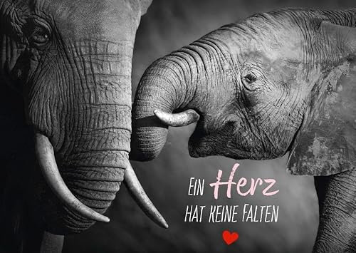 Gutsch Verlag Tier-Postkarte Elefanten-Motiv – Ein Herz hat keine Falten – Hochwertige Tiermotiv-Postkarte für besondere Anlässe, ideal zum Verschenken oder Sammeln