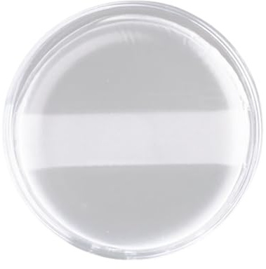 Houppette de maquillage professionnelle en silicone transparent pour femme - Applicateur de maquillage en silicone