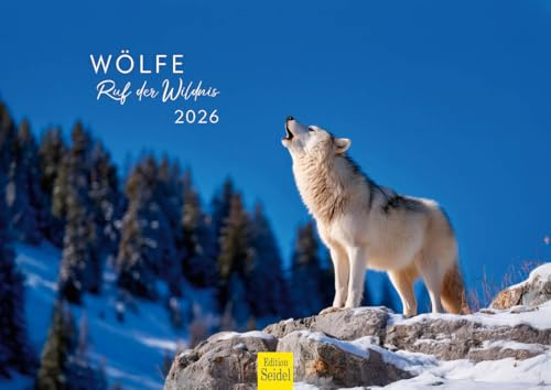 Edition Seidel Premium Kalender Wölfe Ruf der Wildnis 2026 Format DIN A4 Wandkalender Tierkalender Tiere Wolf Wolfsrudel Wildnis Natur