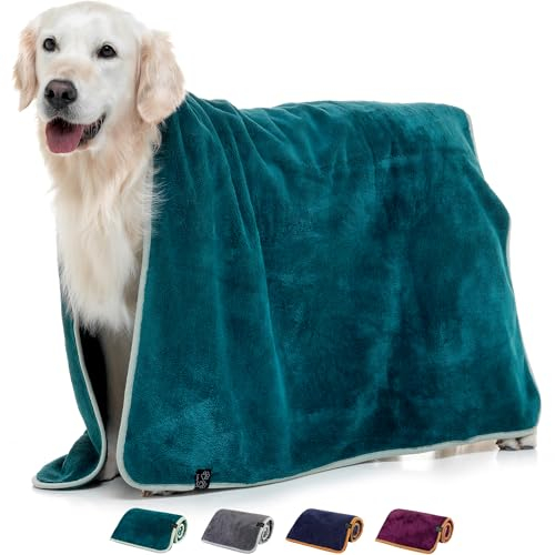 Lucky Paws® Hundehandtuch - luxuriöse 600g/m,140x80cm XL Hundehandtuch extra saugfähig - trocknet schnell, weiches Hunde Handtuch - Gute Geschenke für Hundebesitzer - Hunde Zubehör (1er-Pack, Teal)
