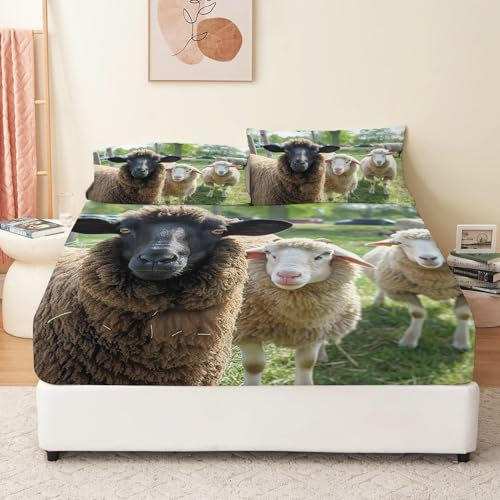 Spannbettlaken 90 x 200 cm, Bettwäsche-Set Tierisches Süßes Lamm Themen mit 1 Spannbetttuch und 2 Kissenbezüge, Grün Spannbettlaken für Jugendliche und Erwachsene Raumdekoration