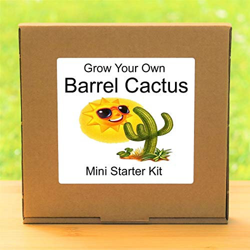 Grow Your Own Kit Barilotto Dorato Pianta del Cactus - Set regalo Natale Giardinaggio