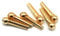 Tbest Cheville Guitare Acoustique, Cheville Guitare Acoustique,Guitar Bridge Pins,6Pcs / Set Guitare en Laiton Pont Broches Guitares Pièces De Rechange Réparation Accessoires(6Pcs)