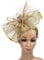 Golden Fascinator Hat with Gauze Flower, Flower Mesh Headband Cocktail Tea Party Headwear for Women Girls Weddings Parties and Festivals