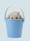 UNITED PETS Crock Secchiello Porta Crocchette per Cani, Designer Stefano Giovannoni, Made in Italy, Tortora/Azzurro, Paletta Dosa Cibo Inclusa