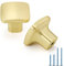 goldenwarm 4Pack Square Gold Cabinet Knobs - Solid Brushed Brass, Zinc Alloy, Bathroom & Kitchen Use