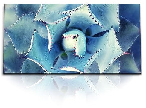 Paul Sinus Kunstdruck Bilder 120x60cm Agave blaue Flamme Sukkulente Pflanze Kunstvoll