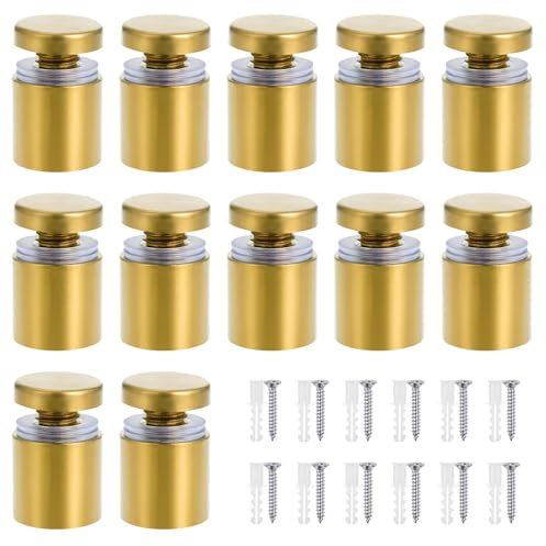 Faankiton 12 Pezzi Viti Pubblicitarie in Acciaio Inox, Chiodi a Vite Pubblicitar, Vite Pubblicità Distanziatori di Vetro, Viti per Fissaggi Pubblicitari con Viti e Tappo in Gomma (19x25mm)