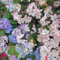 semillas resistentes de plantas de rododendro, flores para jardín de balcón azalea resistente Decoración de sala de estar con flores. plantas de jardín de rocas en el balcón Semillas 30pcs