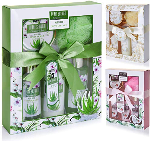 BRUBAKER Cosmetics Bade- und Dusch Set Aloe Vera - 5-teiliges Geschenkset