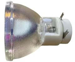 Ampoule De Projecteur Nue Compatible P-VIP 240/0,8 E20.9, Compatible avec Les Projecteurs Promethean PRM45 Et PRM45A.(Compatible Lamp)
