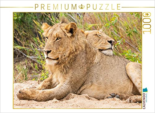 CALVENDO Puzzle Löwen Liebe | 1000 Teile Lege-Größe 64 x 48 cm Foto-Puzzle für glückliche Stunden