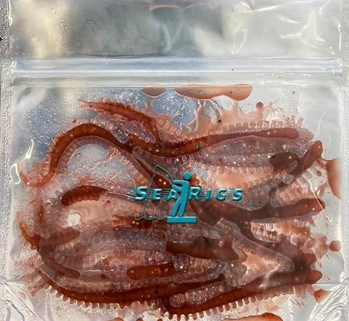 Sea Fishing - Brown RAGWORM lures - Suspended in Natural Ragworm Oil - 4 Inch (10.5cm) - x12 per pack - Target Bass, Cod, Sole, Plaice and Flounder