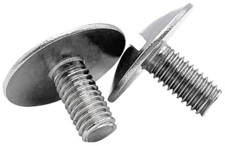 Bullone a testa tonda piatta M2-M6 Vite a testa piatta extra grande con intaglio in acciaio inossidabile 10 pezzi, 10 pezzi, M2X5