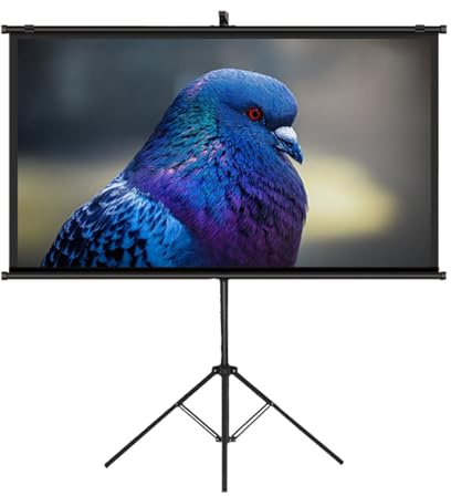 Tragbare Projektor-Leinwand mit Ständer, 152,4 cm (60 Zoll), faltenfreie HD-Filmleinwand für Heimbüro, Theater und Fernseher, leicht und einfach einzurichten, perfekt für Filme und Präsentationen