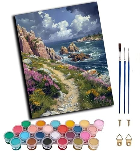 WANGWANGMIAO Peinture par Numéro Adulte,Paysage de sentier rocheux en bord de mer 40x50cm,Diy Tableau Peindre par Nombre pour peindre,cadeaux peints à la main Home Decor,avec cadre