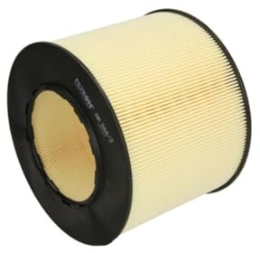 Luftfilter FILTRON AR366/2