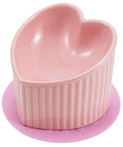 Ceramic cat food bowl,tilted 5.5-inch cats bowls with silicone anti slip pad,6 oz pet feed container (Pink)
