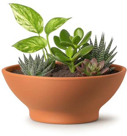 Maceta Barro Natural Terracota Baja Redonda con PIE (Terrina Barro) (26 X 11 CMS)